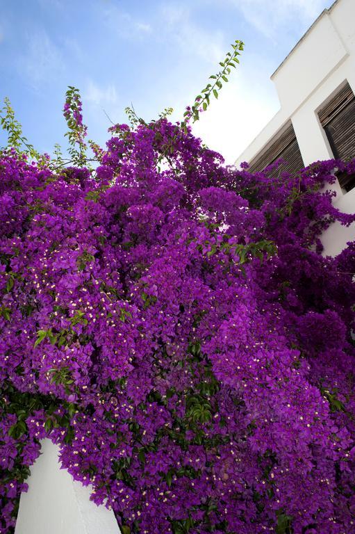 Haspeyma Otel Bodrum Екстериор снимка